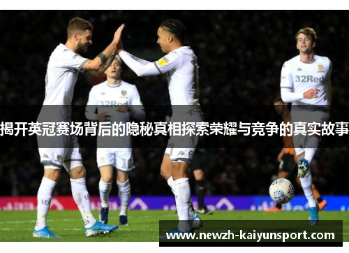 揭开英冠赛场背后的隐秘真相探索荣耀与竞争的真实故事