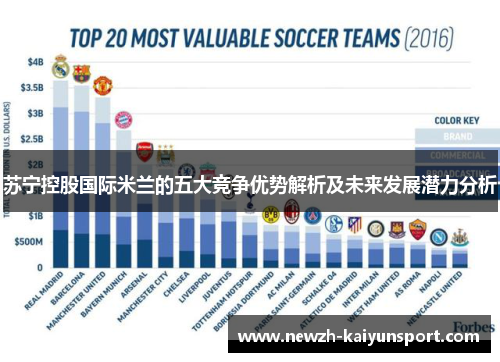 苏宁控股国际米兰的五大竞争优势解析及未来发展潜力分析 苏宁控股国际米兰的五大竞争优势解析及未来发展潜力分析