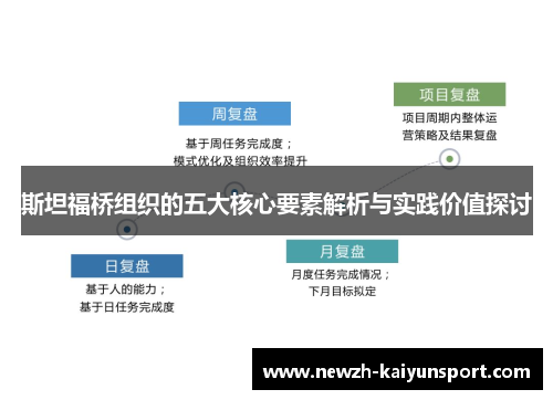 斯坦福桥组织的五大核心要素解析与实践价值探讨