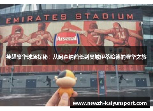 英超豪华球场探秘：从阿森纳酋长到曼城伊蒂哈德的奢华之旅