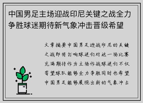 中国男足主场迎战印尼关键之战全力争胜球迷期待新气象冲击晋级希望